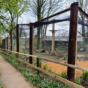 View of new african aviary