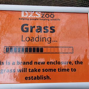 Thought this was an amusing new sign