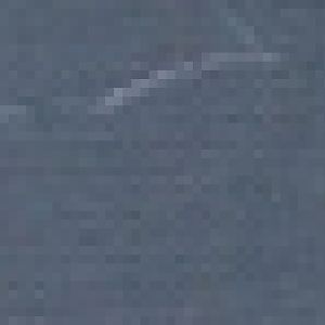 Binturong - not quite ready to come out