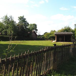 Llama and Capybara paddock, 2020-09-12