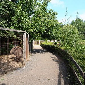 Walkway and viewing area between Emu and Red-necked wallaby paddock and Olive baboon island, 2020-09-12