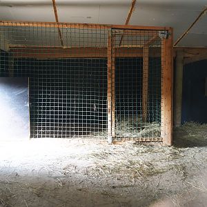 Indoor housing Emus and Red-necked wallabies, 2020-09-12