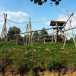 Lar gibbon island, 2020-09-12