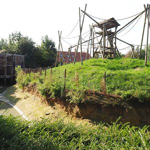 Lar gibbon island, 2020-09-12