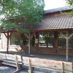 Viewing area Lar gibbon indoor housing, 2020-09-12