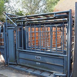 Veterinary treatment squeeze chute, 2020-09-12