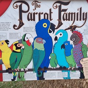 Parrot family display sign