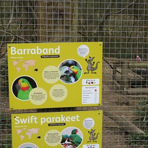 Parrot sign