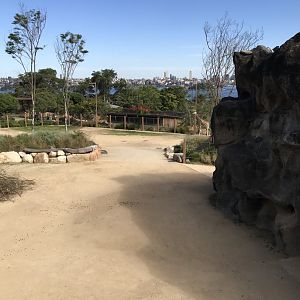 Giraffe and Zebra Enclosure