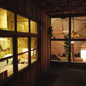 Central bearded dragon terrarium and Green iguana/Red-handed tamarin/Hermann's tortoise exhibit, 2020-09-12