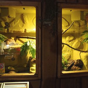 Ball python terrarium, 2020-09-12