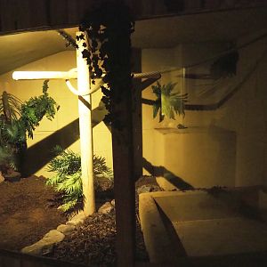 Future Boa constrictor terrarium, 2020-09-12