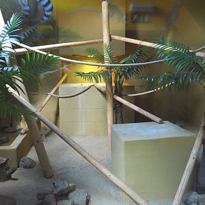 Second Nile monitor terrarium, 2020-09-12