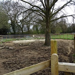 Lowland Tapir Exhibit