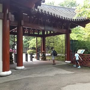 China, Exit, Aug. 2020