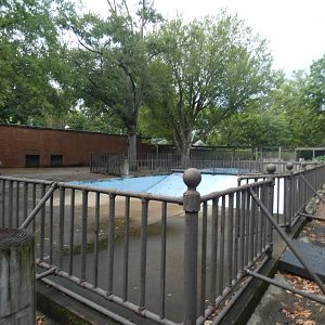 Old Hippo Exhibit, Aug. 2020