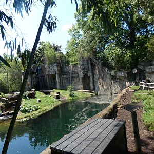 Tiger Exhibit, Cat Country, Aug. 2020