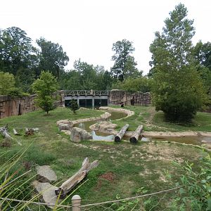 Grizzly Exhibit, Teton Trek, Aug. 2020