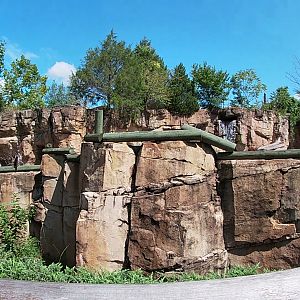 Polar Bear Exhibit, Northwest Passage, Aug. 2020