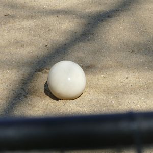 A Big Breakfast? April 2021