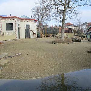 Savannah paddock (2021-02-27)