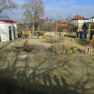 Savannah paddock (2021-02-27)