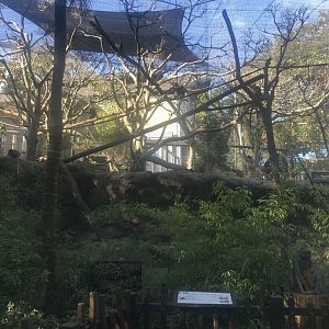Francois Langur Enclosure