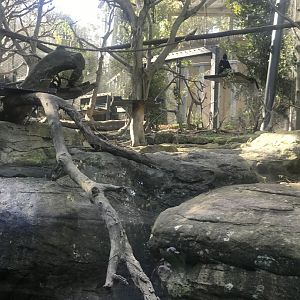 Francois Langur Enclosure