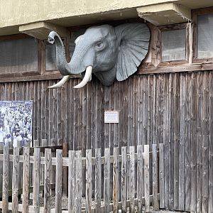 Old Elephant House