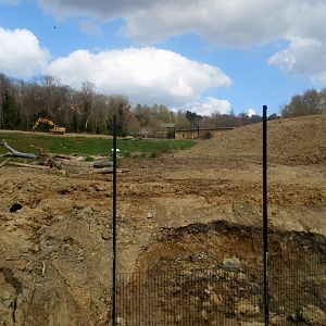 Future lion enclosure