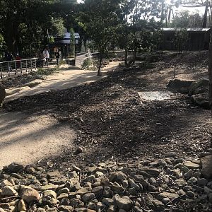 Red Kangaroo Walkthrough