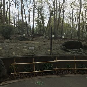 North Carolina Zoo: Red River Hog Habitat