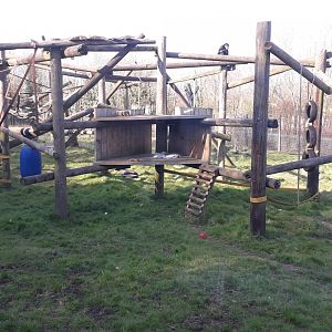 Chimpanzee Outdoor Enclosure