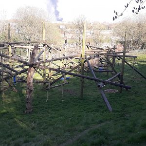 Chimpanzee Outdoor Enclosure