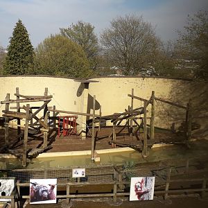 Bornean Orangutan Enclosure