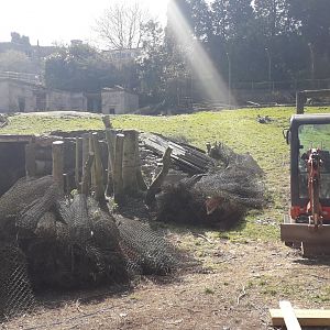 Demolition at Dudley zoo