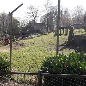 Demolition at Dudley Zoo