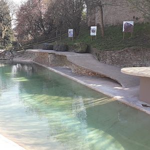 Left Sea Lion Enclosure