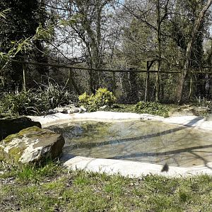 Giant Anteater Enclosure