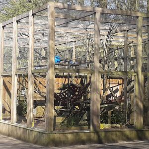 Binturong and Palm Civet Enclosure