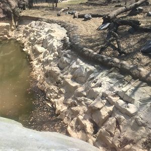 Half-empty tiger pool