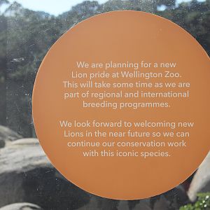 Deceased Lioness Sign