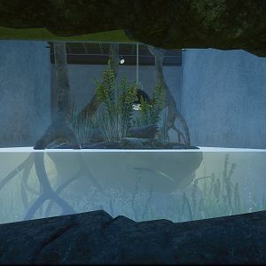 Diamondback Terapin Tank