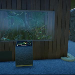 Goliath Birdeater Tank