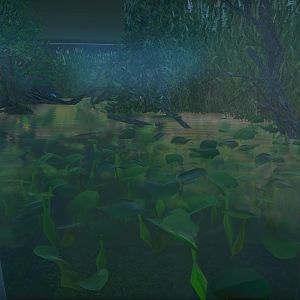 Spectacled Caiman Enclosure