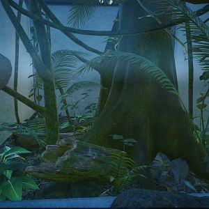 Giant Forest Scorpion Tank