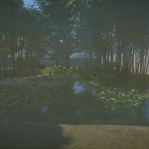 Clouded Leopard Enclosure