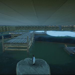 King Penguin Enclosure