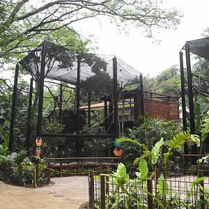 New Andean Mixed Exhibits