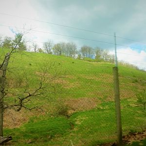 Trexler Nature Preserve - 10 Acre (4 Hectare) Rocky Mountain Elk Exhibit